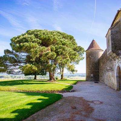 Chateau Yquem 23