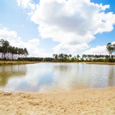 Lac De Taste Sud Gironde 46