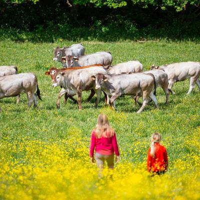 Ferme Du Barses Sud Gironde 10