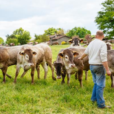 Ferme Du Barses Sud Gironde 18