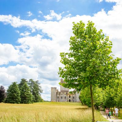 Chateau Roquetaillade Sud Gironde 2