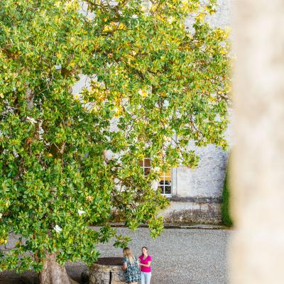 Chateau Cazeneuve Sud Gironde Agence Les Conteurs 33