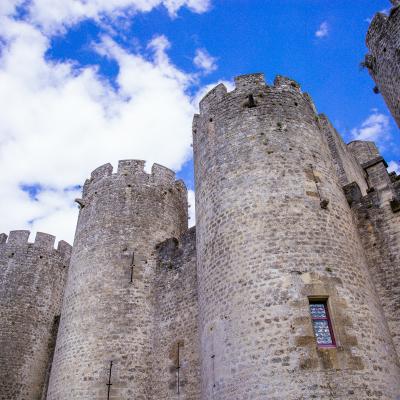 Chateau de Roquetaillade